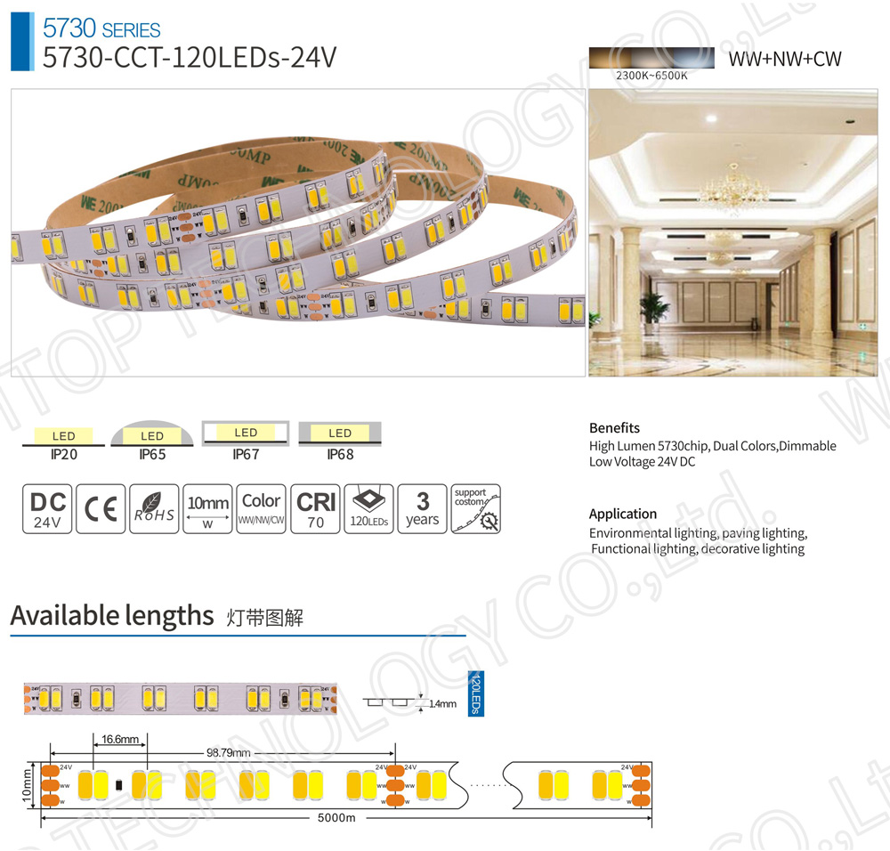 120LED Color Temperature Adjustable SMD5730 Flex LED Strips