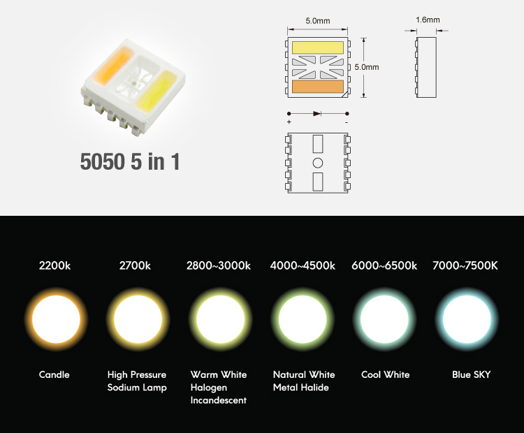 DC24V 5in1 RGB+CCT 84leds led tape